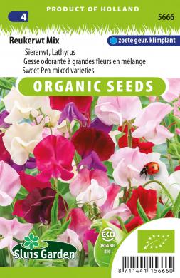 Sweet Pea Mix BIO (Lathyrus odoratus) 35 seeds
